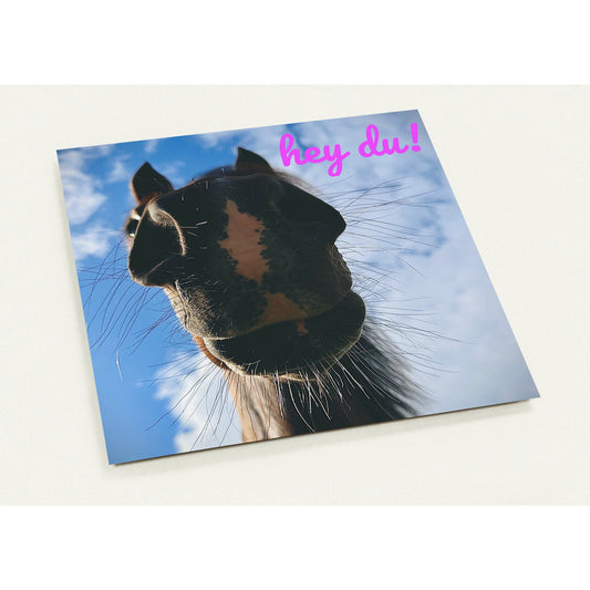 e07a9bab-a74a-4319-962f-83516a83ed29