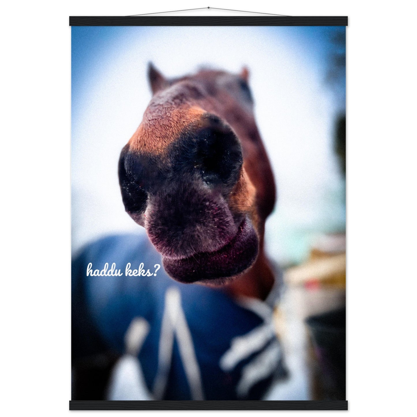 e457997b-f139-43ce-8047-378852f15888