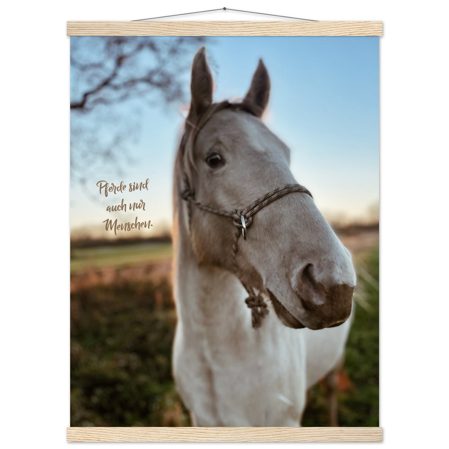 e742016d-daf4-4057-a7d6-cac2d23da4ef