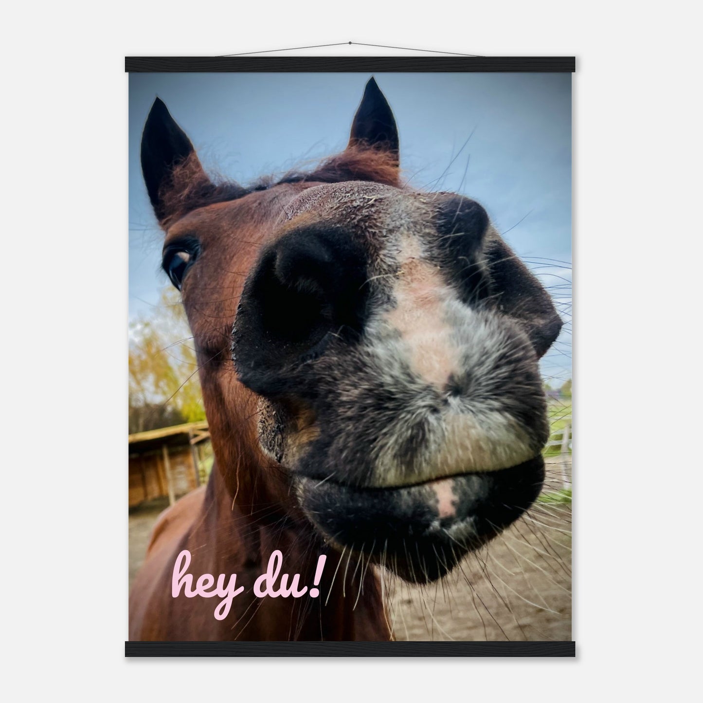 eca3c9de-cde3-4699-a8bf-cc6efedcd83a