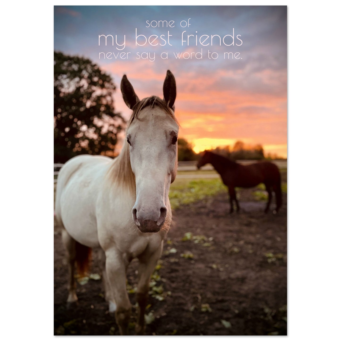 f241d0d1-bdc3-4177-a3d1-504f86c06ccc