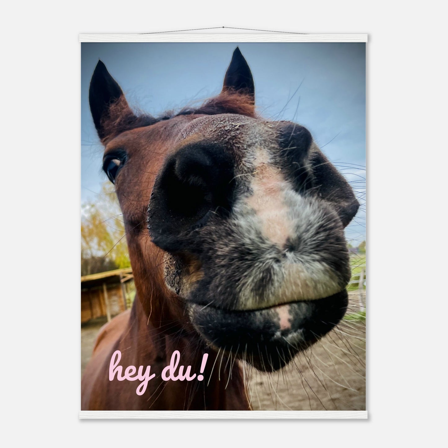 f2497efc-8612-4cb2-9961-70b29e0d5e9f