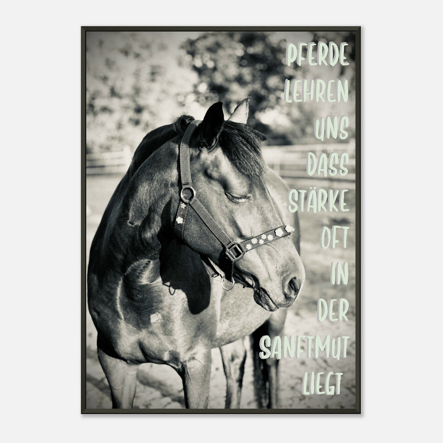 fac20076-9c04-441f-8fe5-4beef1ba8d88