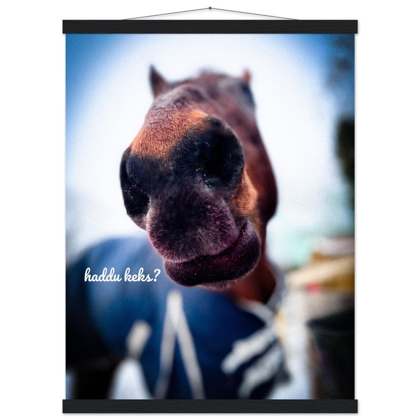 fb09c44c-b929-4089-82cf-34b03b7b745f