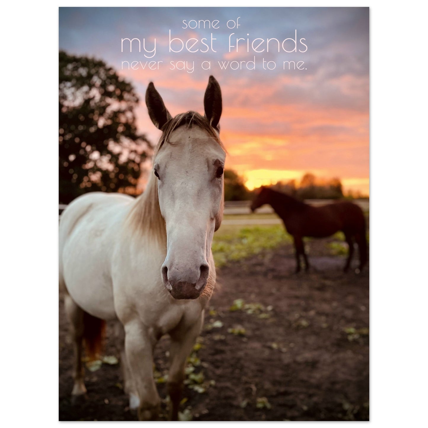 fb99f5a5-b959-4f5b-a6ff-4d6394258e6a