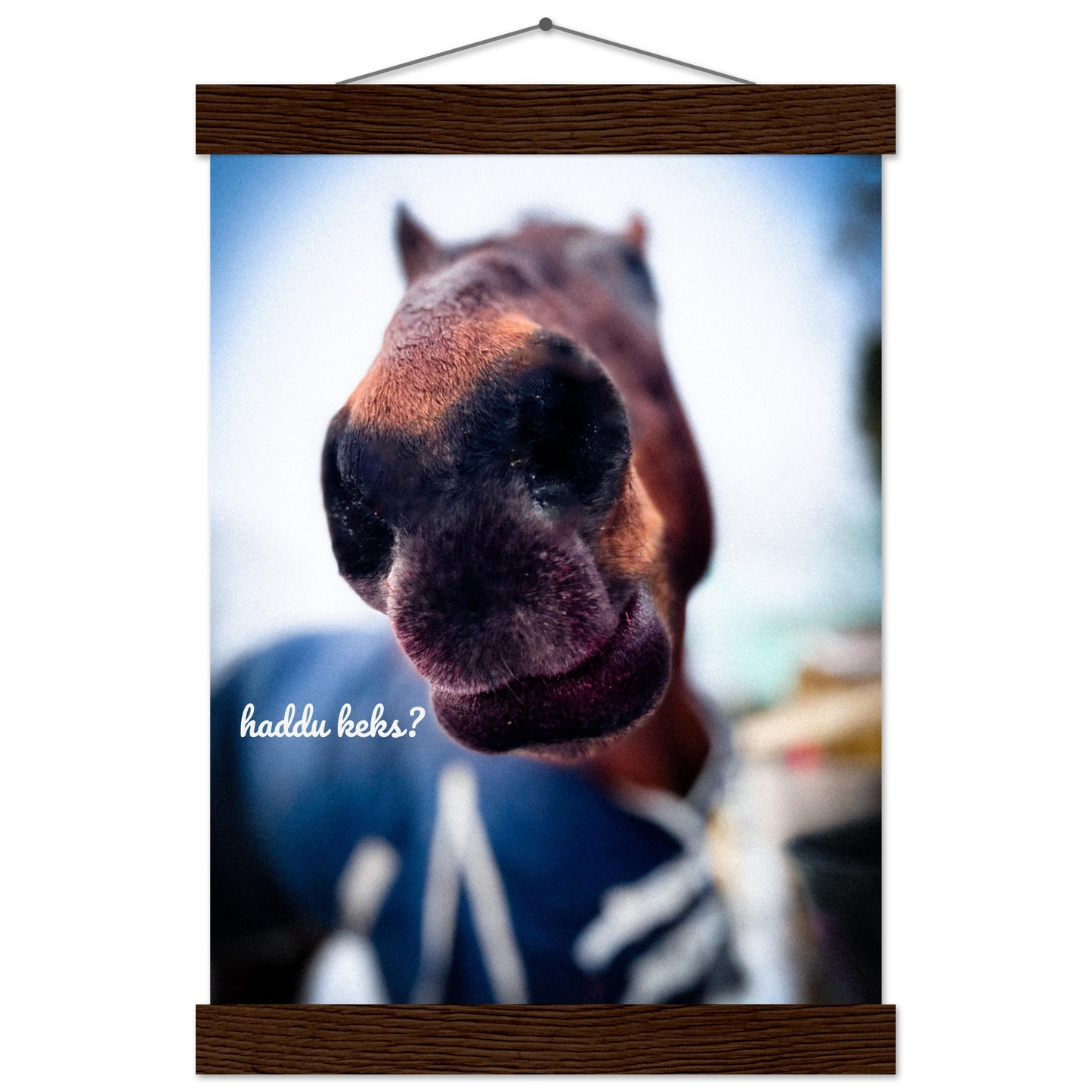 ff1a270c-aef8-4487-8fb3-0b632ba431e7